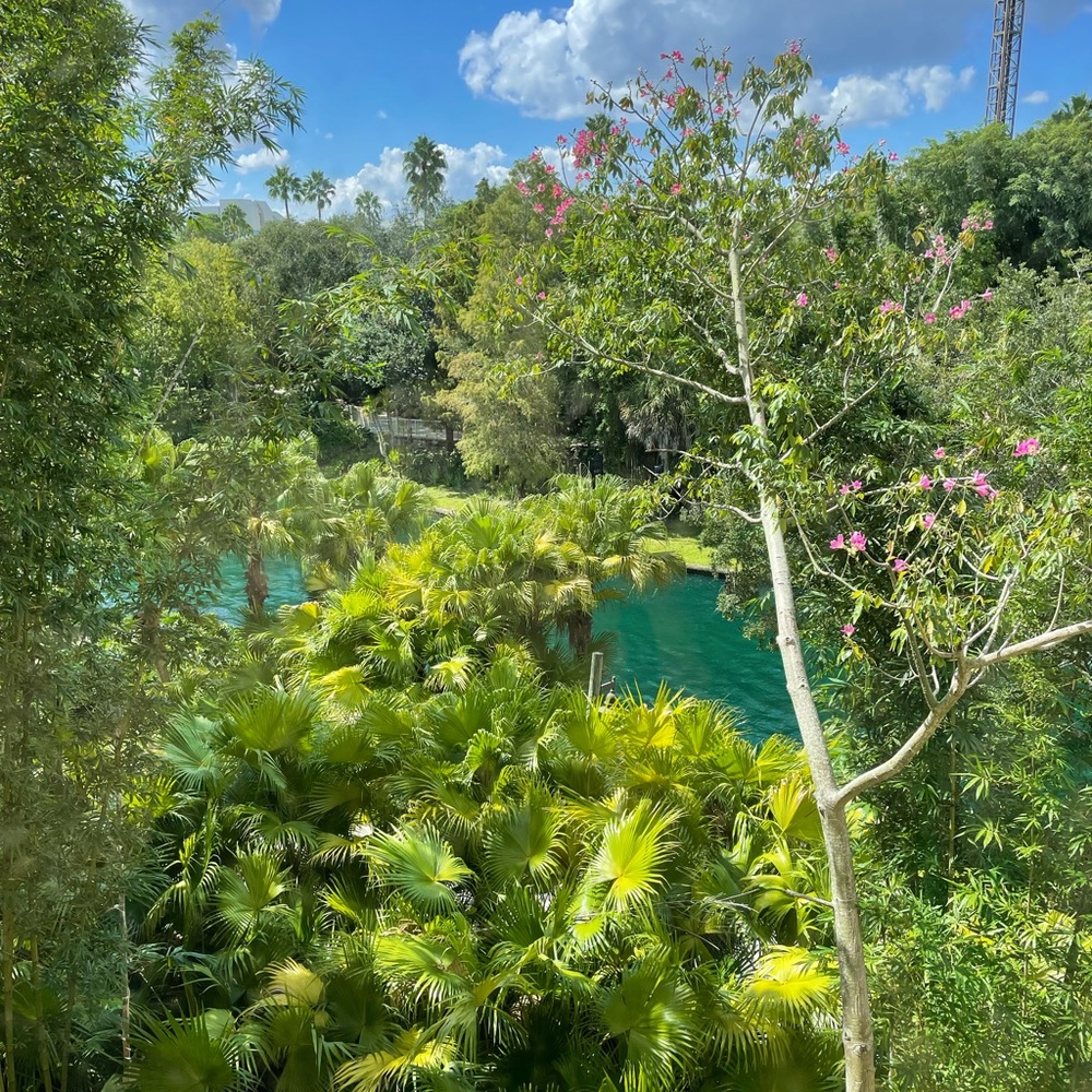 Meet your Posher, Kathleen